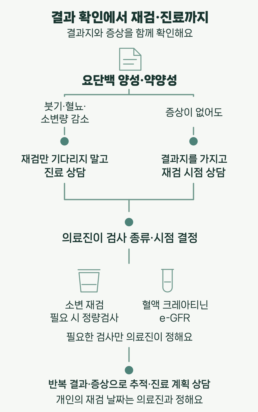 결과 확인에서 재검·진료까지. 결과지와 증상을 함께 확인해요. 요단백 양성·약양성. 붓기·혈뇨·. 소변량 감소. 증상이 없어도. 재검만 기다리지 말고. 진료 상담. 결과지를 가지고. 재검 시점 상담. 의료진이 검사 종류·시점 결정. 소변 재검. 필요 시 정량검사. 혈액 크레아티닌. e-GFR. 필요한 검사만 의료진이 정해요. 반복 결과·증상으로 추적·진료 계획 상담. 개인의 재검 날짜는 의료진과 정해요. 두 상담 흐름은 의료진의 검사 계획 결정으로 모인다.